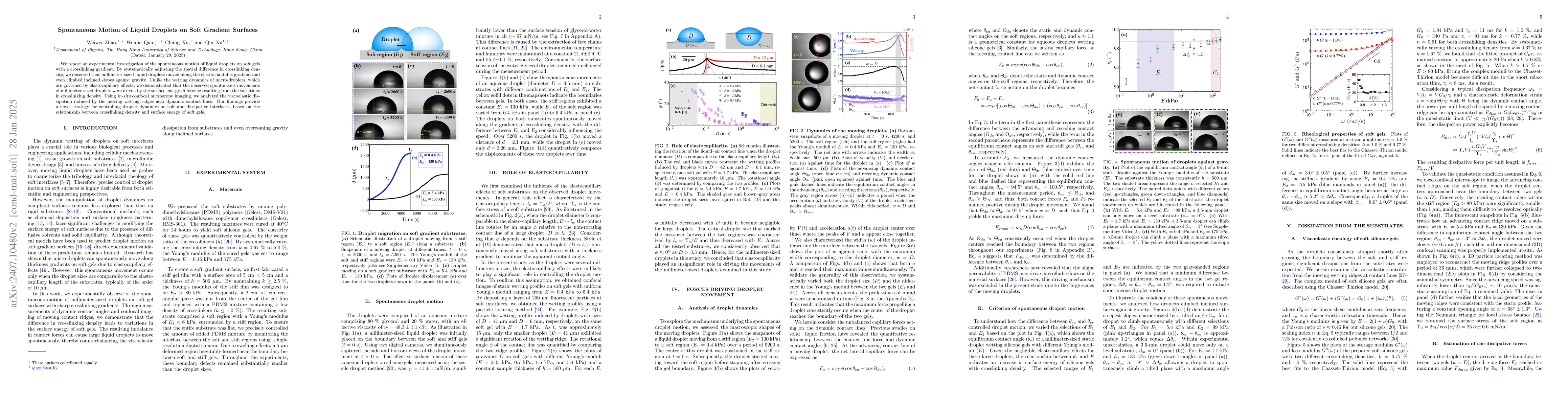 Thumbnail for Spontaneous Motion of Liquid Droplets on Soft Gradient Surfaces