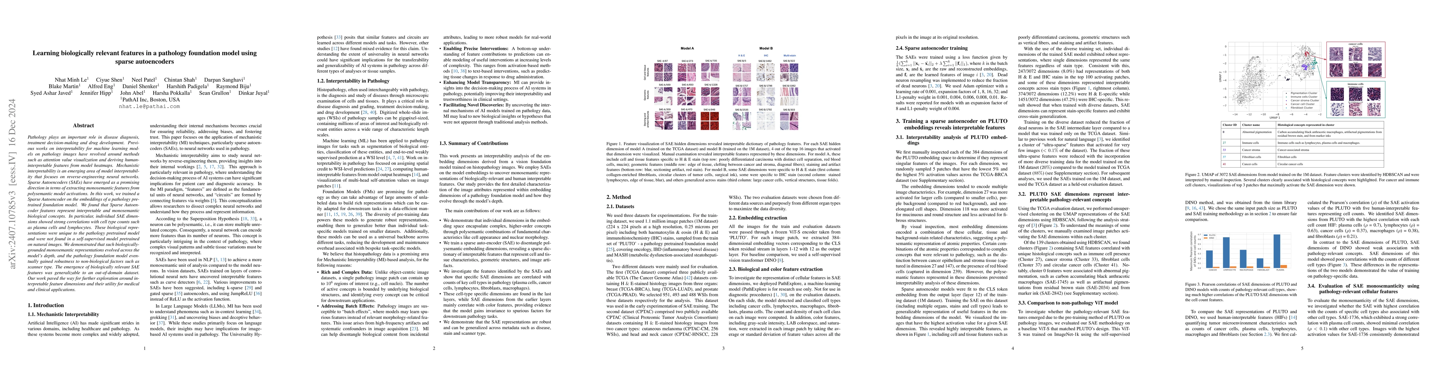 Thumbnail for Interpretability analysis on a pathology foundation model reveals
  biologically relevant embeddings across modalities