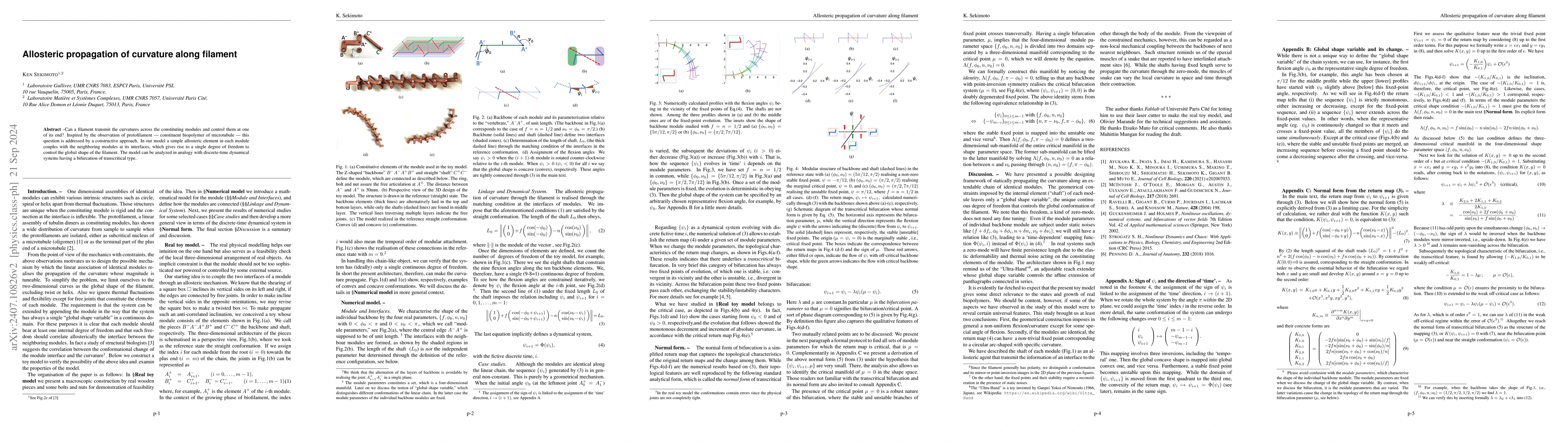 Thumbnail for Allosteric propagation of curvature along filament