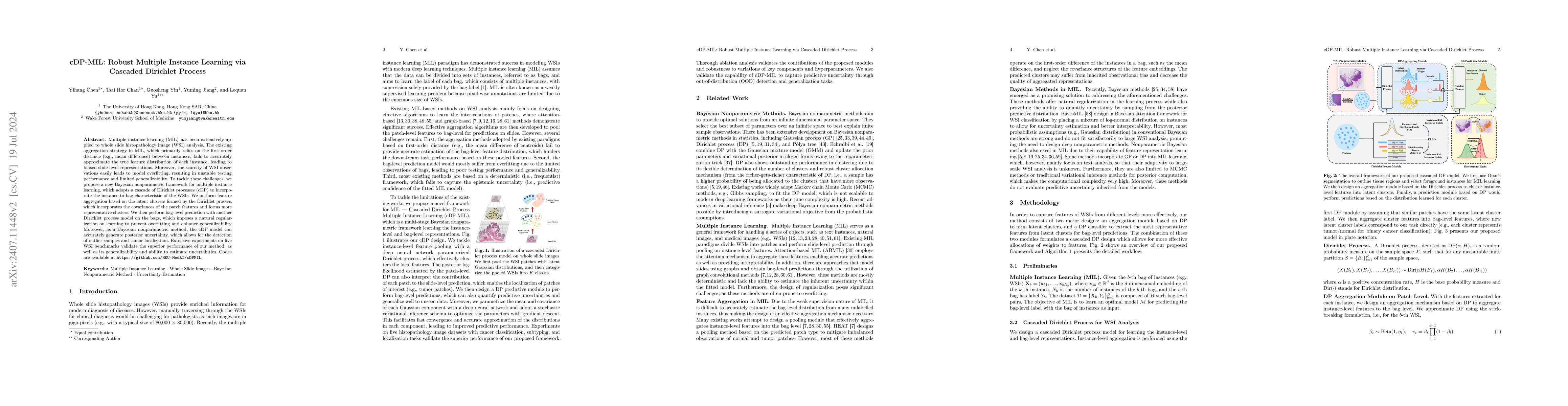 Thumbnail for cDP-MIL: Robust Multiple Instance Learning via Cascaded Dirichlet
  Process
