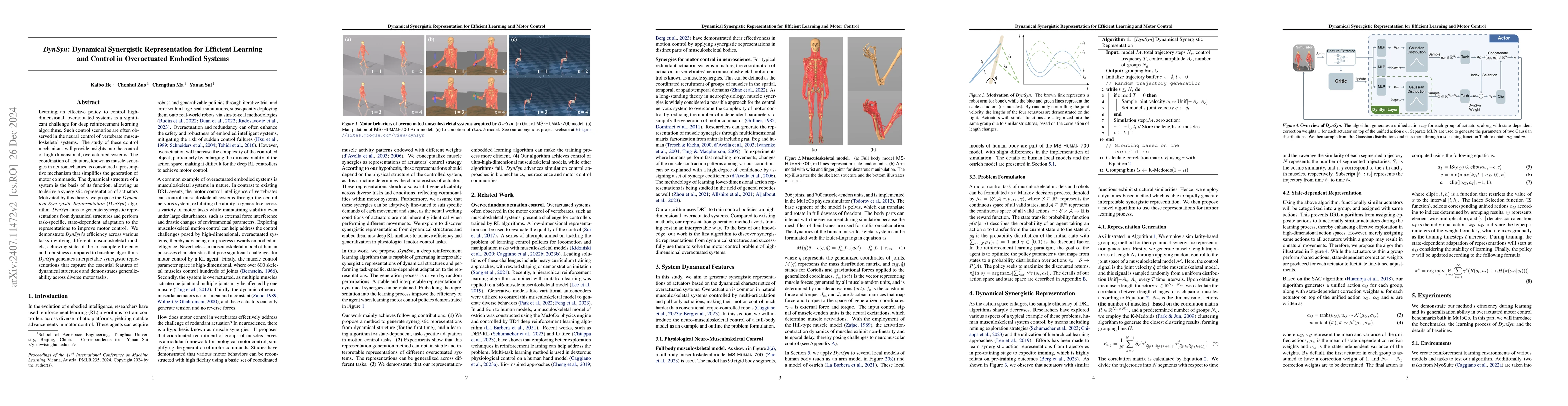 Thumbnail for DynSyn: Dynamical Synergistic Representation for Efficient Learning and
  Control in Overactuated Embodied Systems