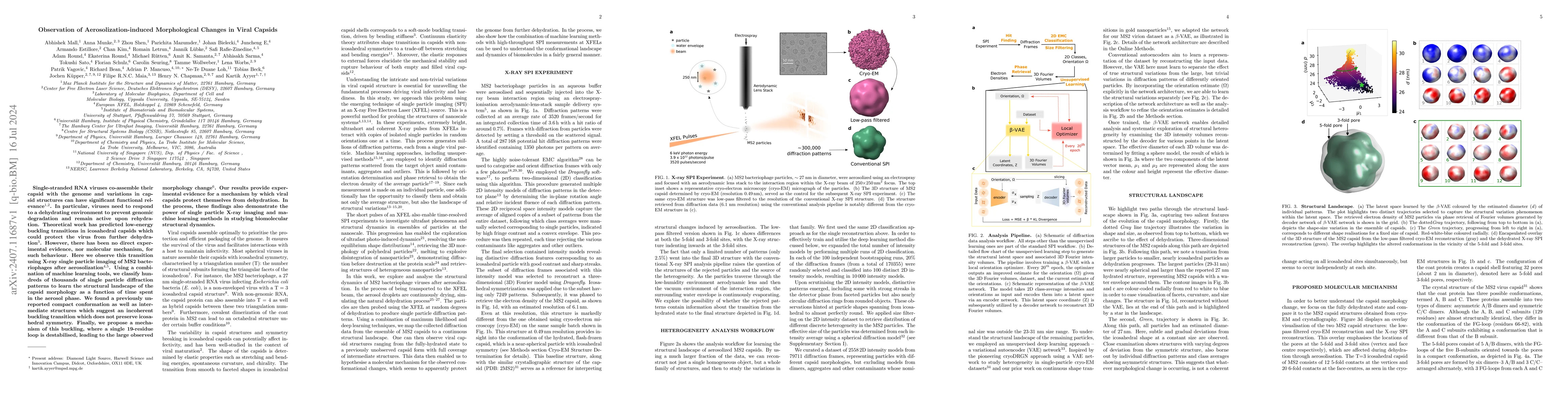Thumbnail for Observation of Aerosolization-induced Morphological Changes in Viral
  Capsids