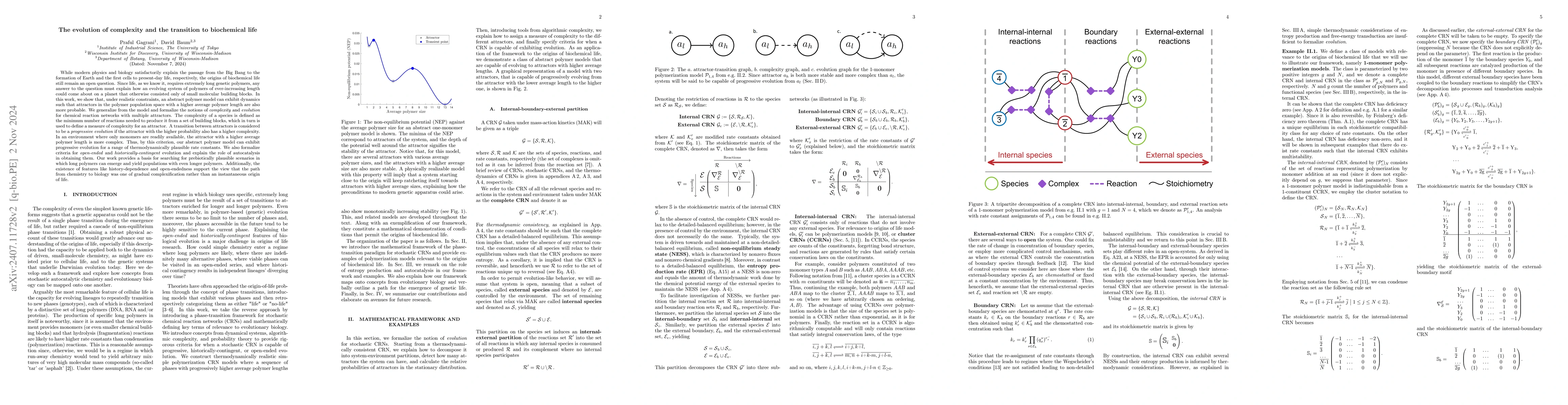Thumbnail for The evolution of complexity and the transition to biochemical life