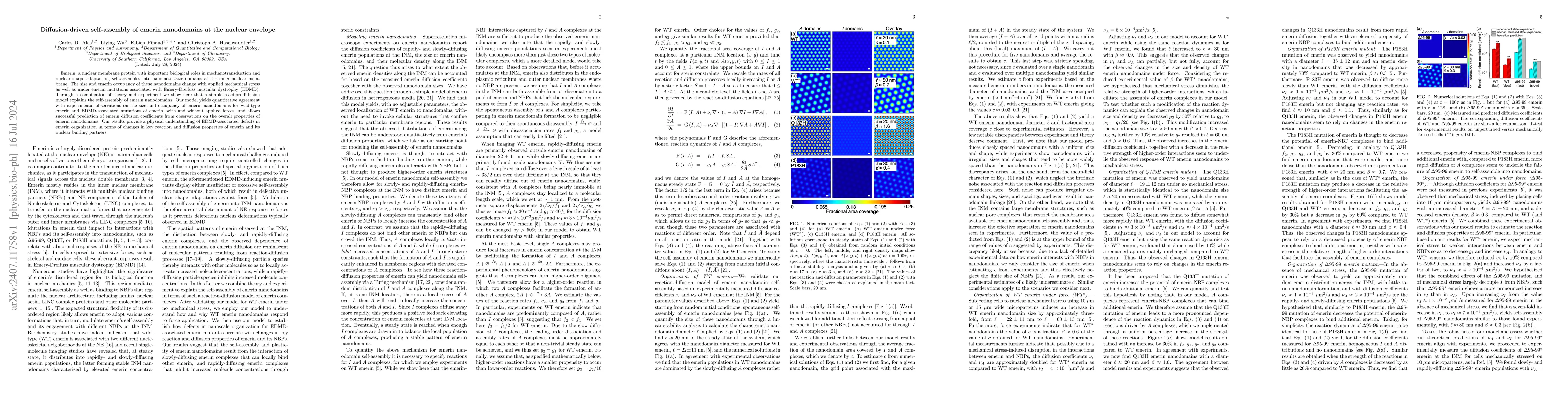 Thumbnail for Diffusion-driven self-assembly of emerin nanodomains at the nuclear
  envelope