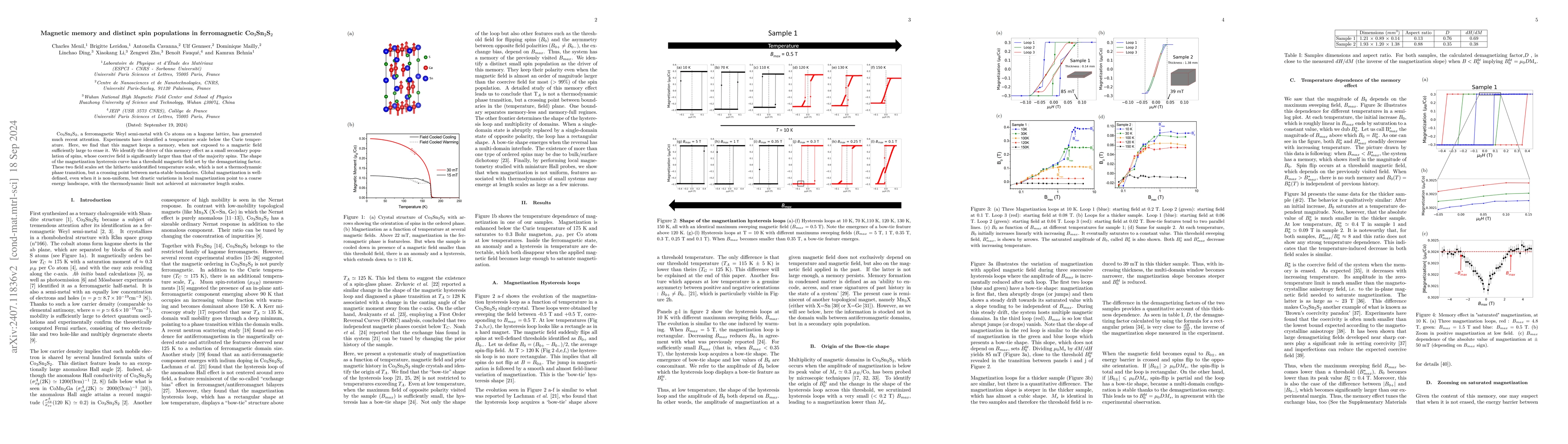 Thumbnail for Magnetic memory and distinct spin populations in ferromagnetic Co3Sn2S2