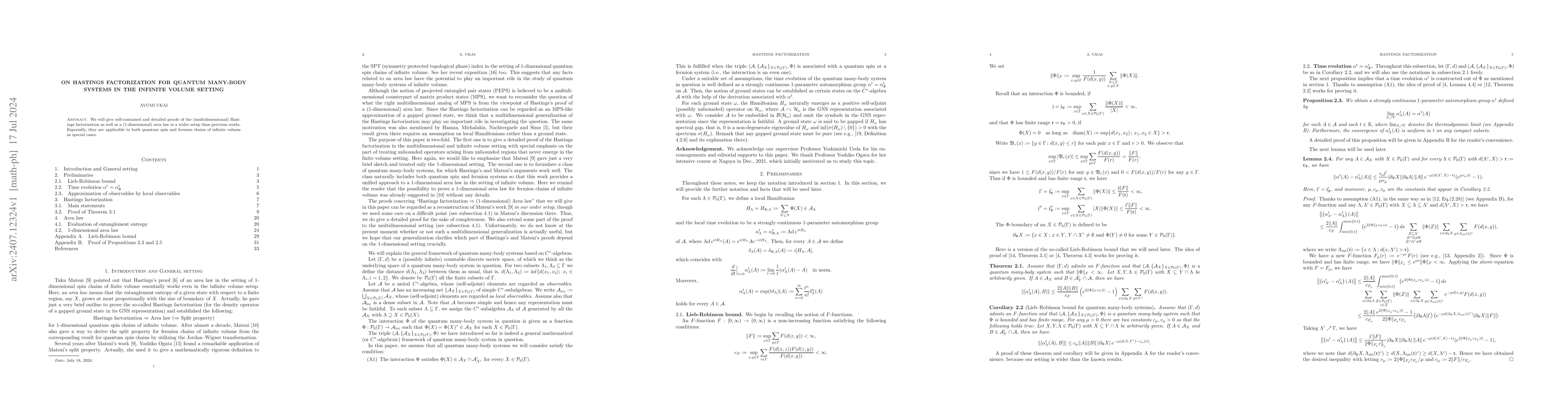 Thumbnail for On Hastings factorization for quantum many-body systems in the infinite
  volume setting