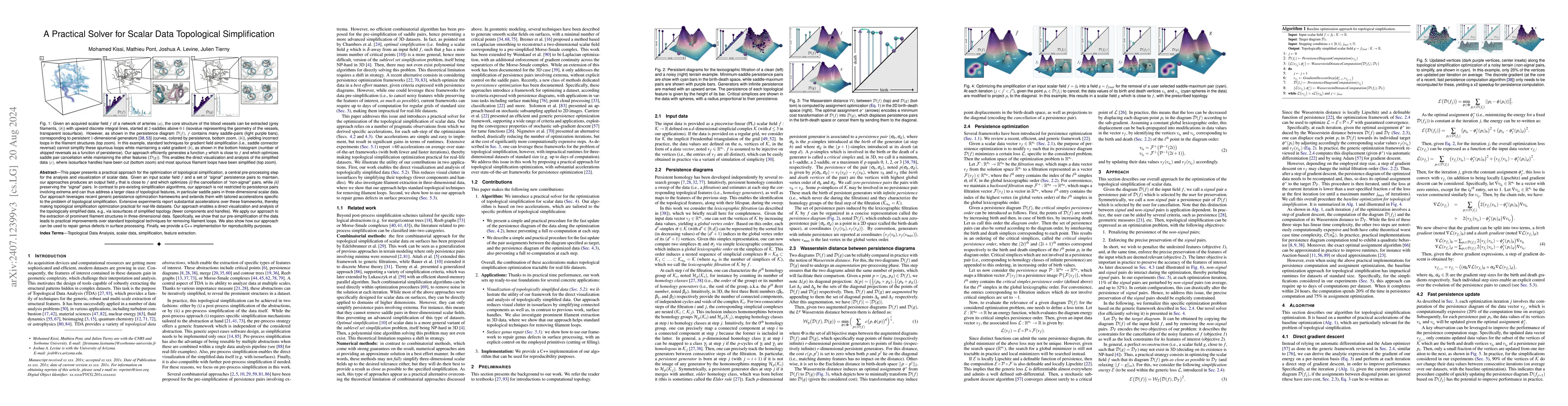 Thumbnail for A Practical Solver for Scalar Data Topological Simplification
