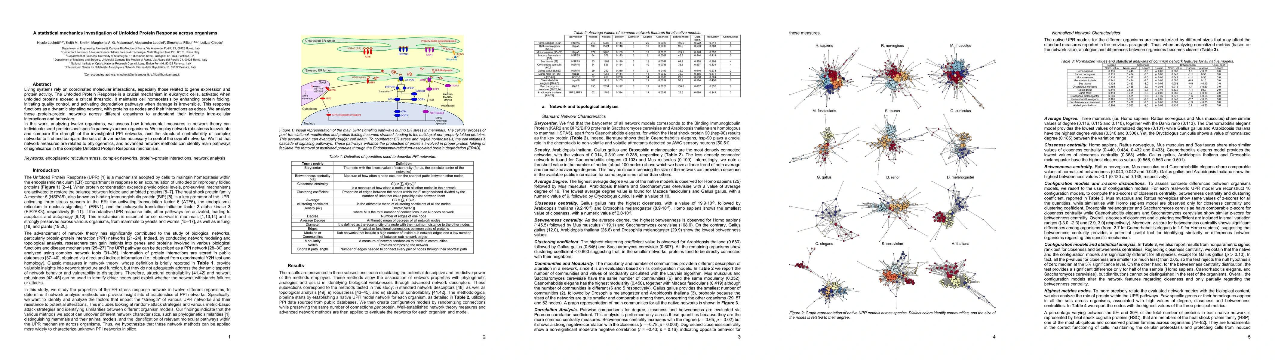 Thumbnail for A statistical mechanics investigation of Unfolded Protein Response
  across organisms