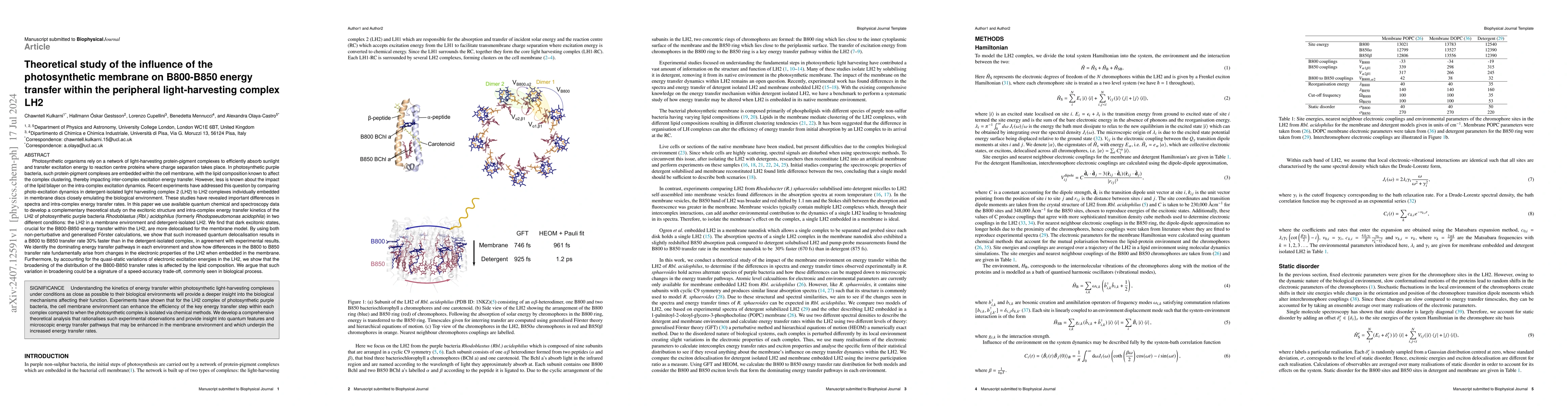 Thumbnail for Theoretical study of the influence of the photosynthetic membrane on
  B800-B850 energy transfer within the peripheral light-harvesting complex LH2