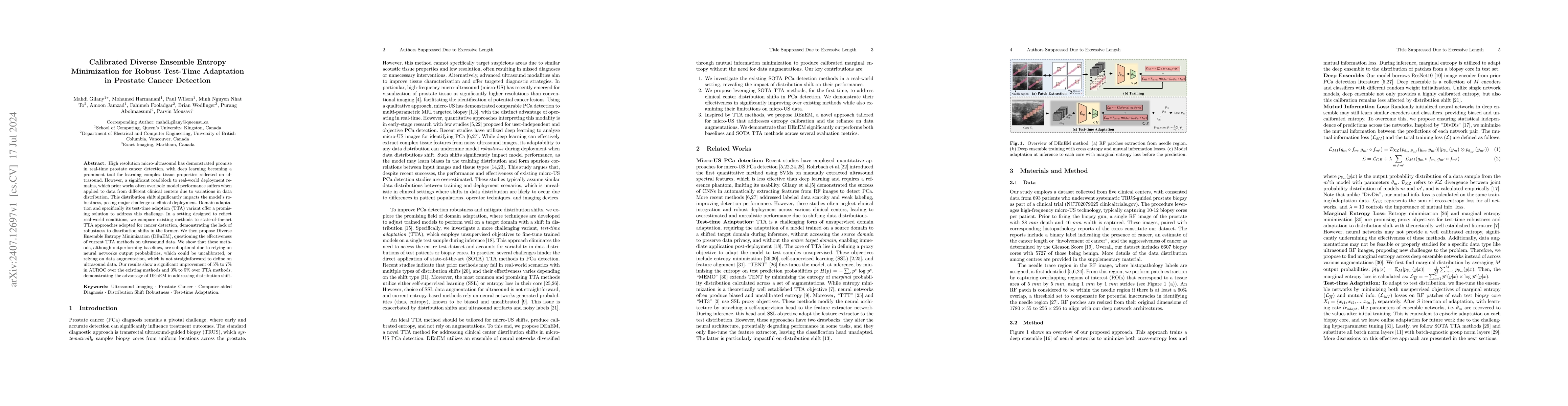 Thumbnail for Calibrated Diverse Ensemble Entropy Minimization for Robust Test-Time
  Adaptation in Prostate Cancer Detection