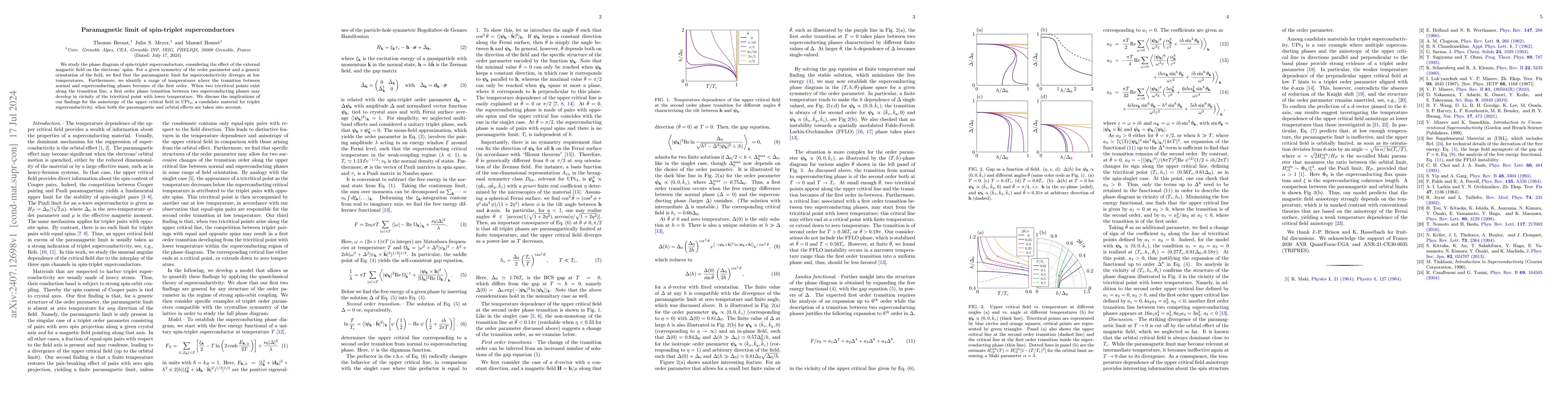 Thumbnail for Paramagnetic limit of spin-triplet superconductors
