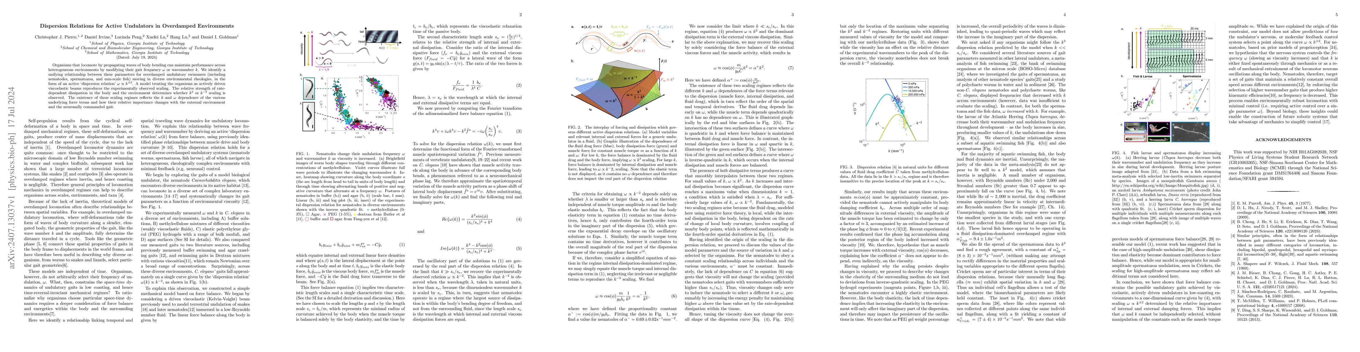 Thumbnail for Dispersion Relations for Active Undulators in Overdamped Environments