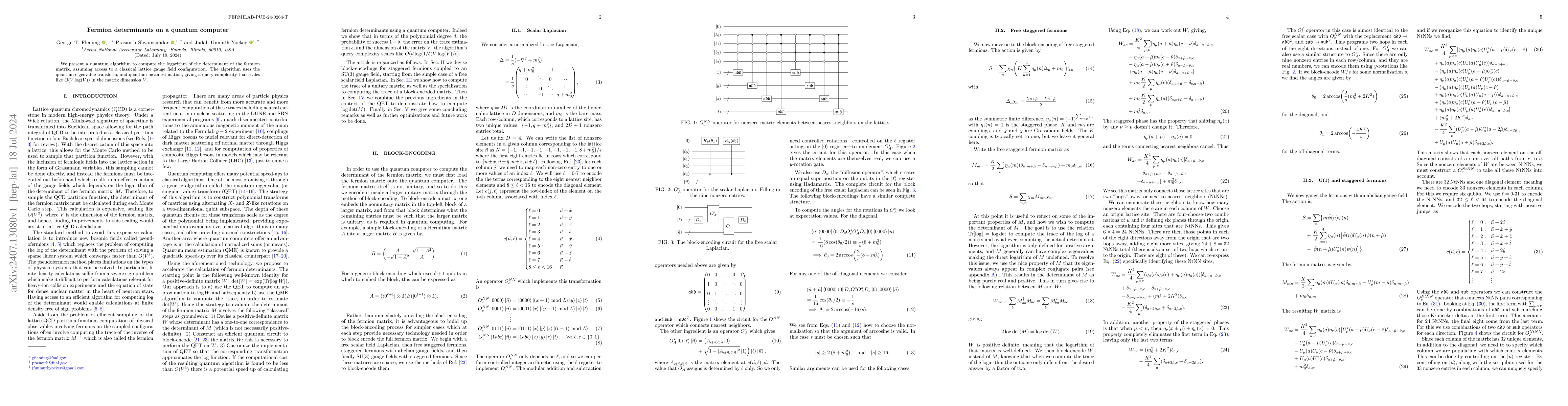 Thumbnail for Fermion determinants on a quantum computer