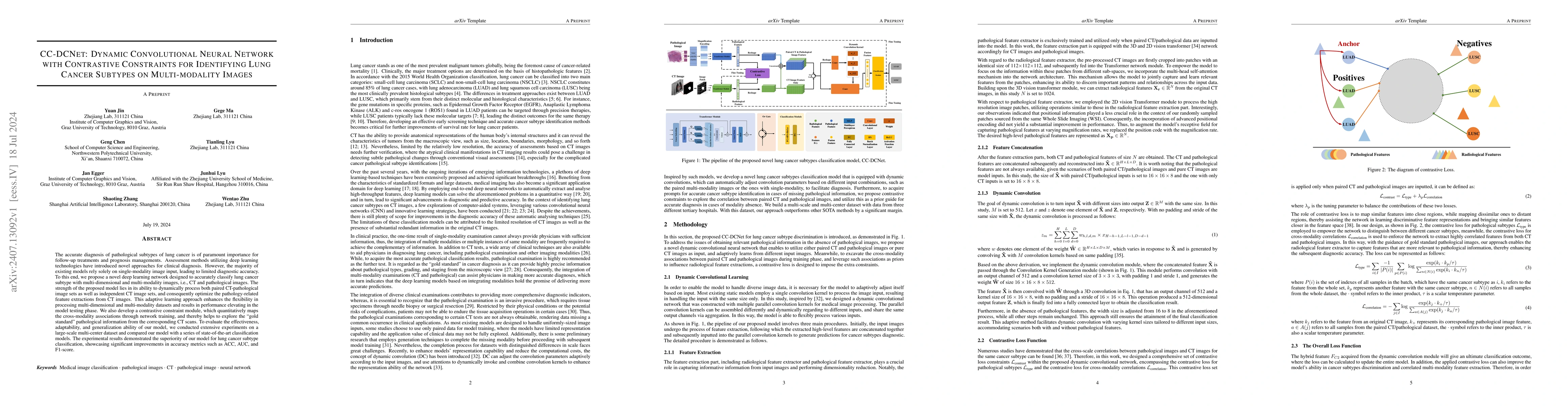 Thumbnail for CC-DCNet: Dynamic Convolutional Neural Network with Contrastive
  Constraints for Identifying Lung Cancer Subtypes on Multi-modality Images