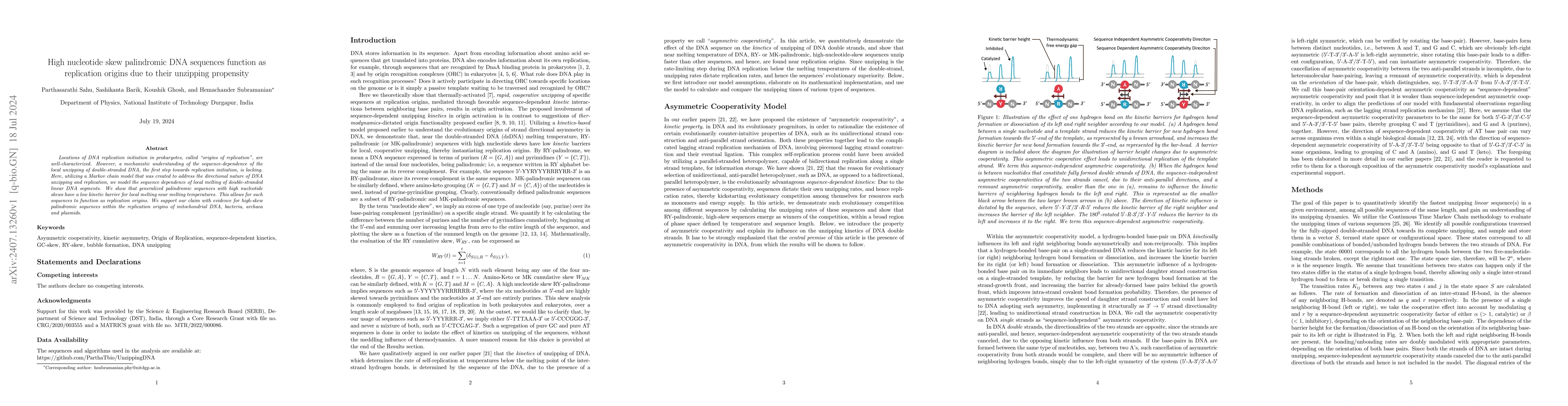 Thumbnail for High nucleotide skew palindromic DNA sequences function as replication
  origins due to their unzipping propensity