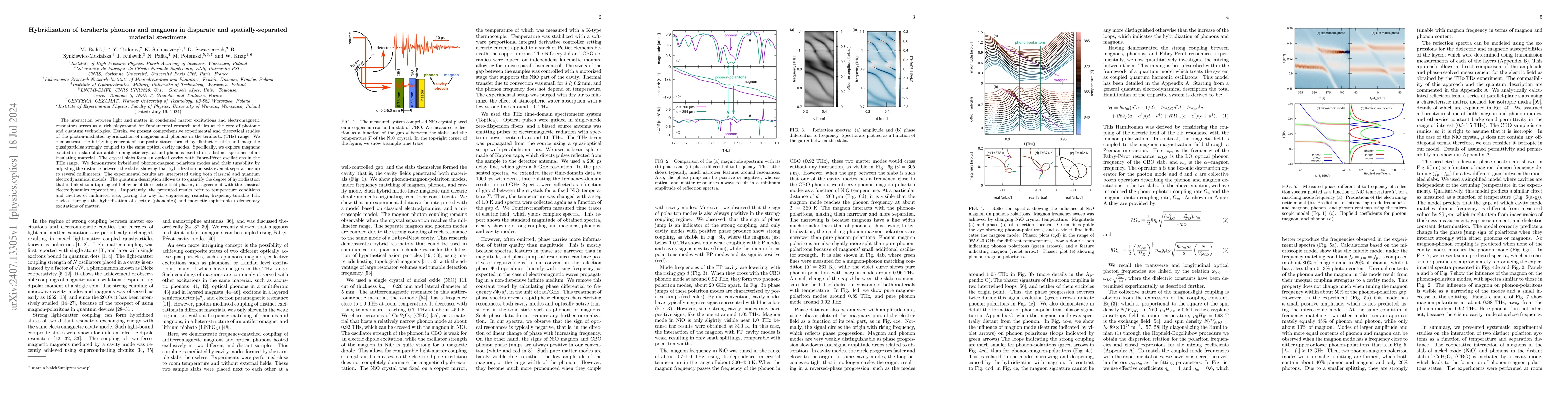 Thumbnail for Hybridization of terahertz phonons and magnons in disparate and
  spatially-separated material specimens