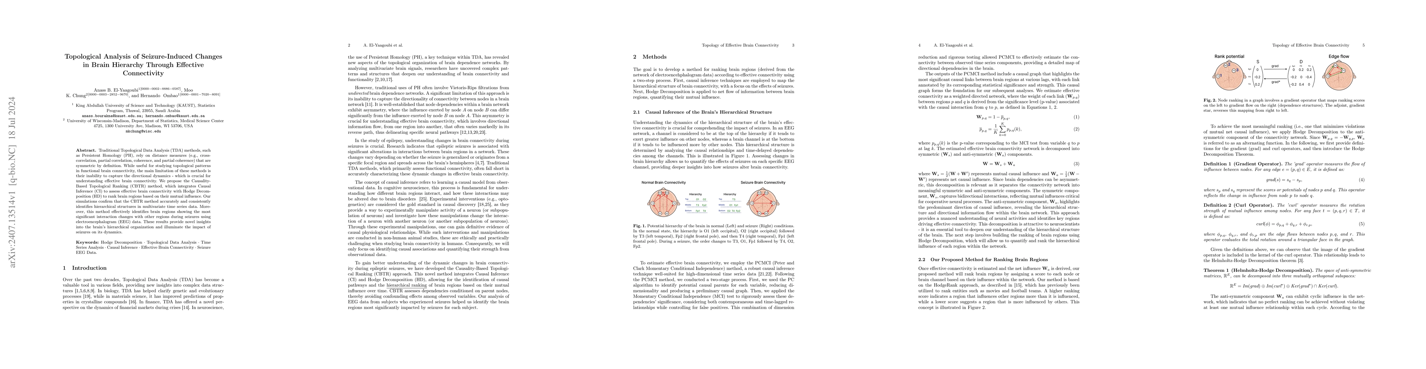 Thumbnail for Topological Analysis of Seizure-Induced Changes in Brain Hierarchy
  Through Effective Connectivity