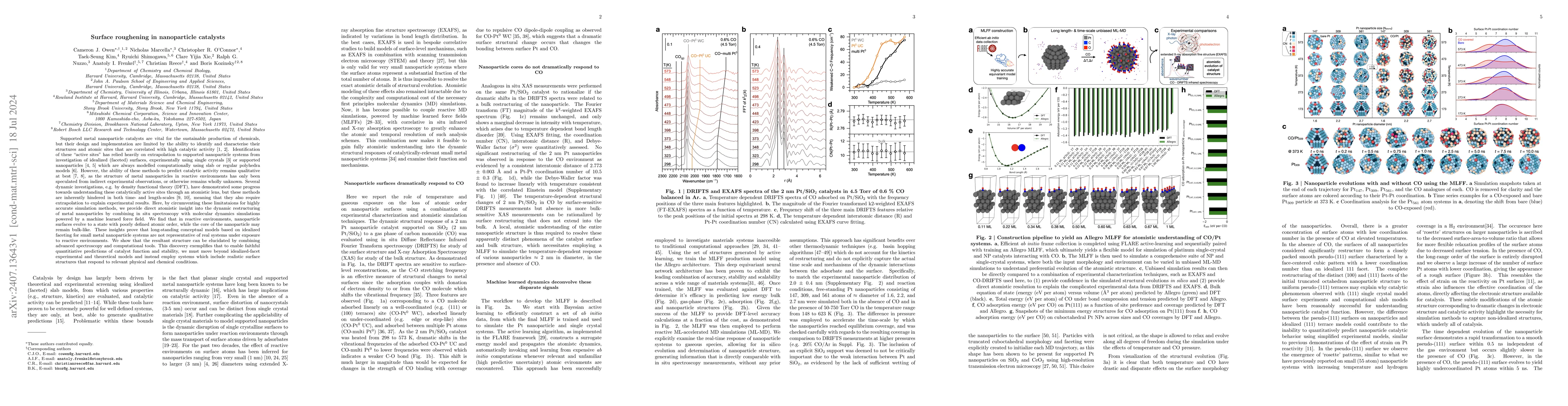 Thumbnail for Surface roughening in nanoparticle catalysts
