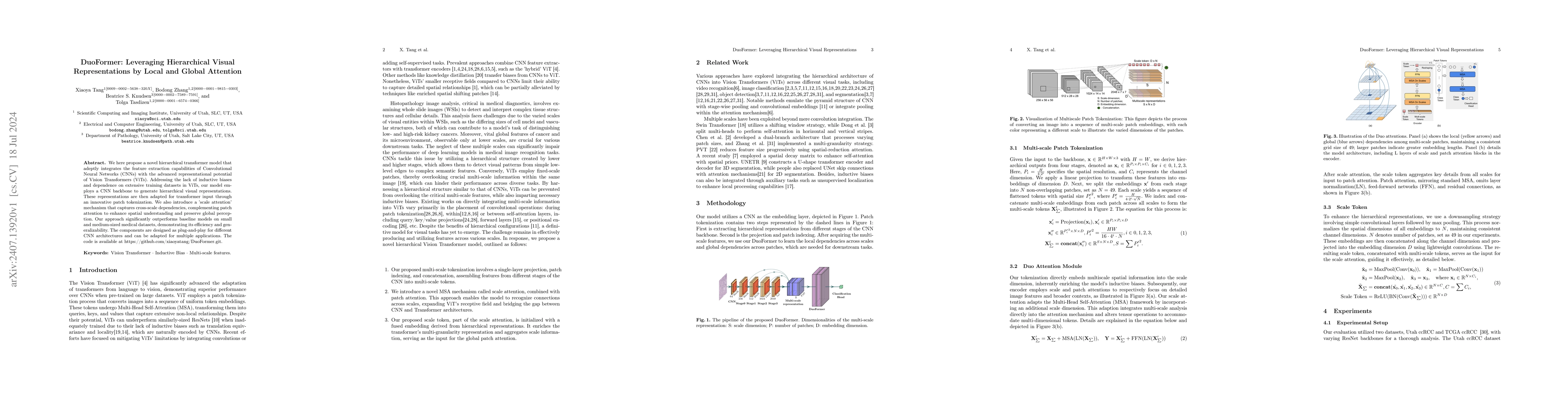 Thumbnail for DuoFormer: Leveraging Hierarchical Visual Representations by Local and
  Global Attention