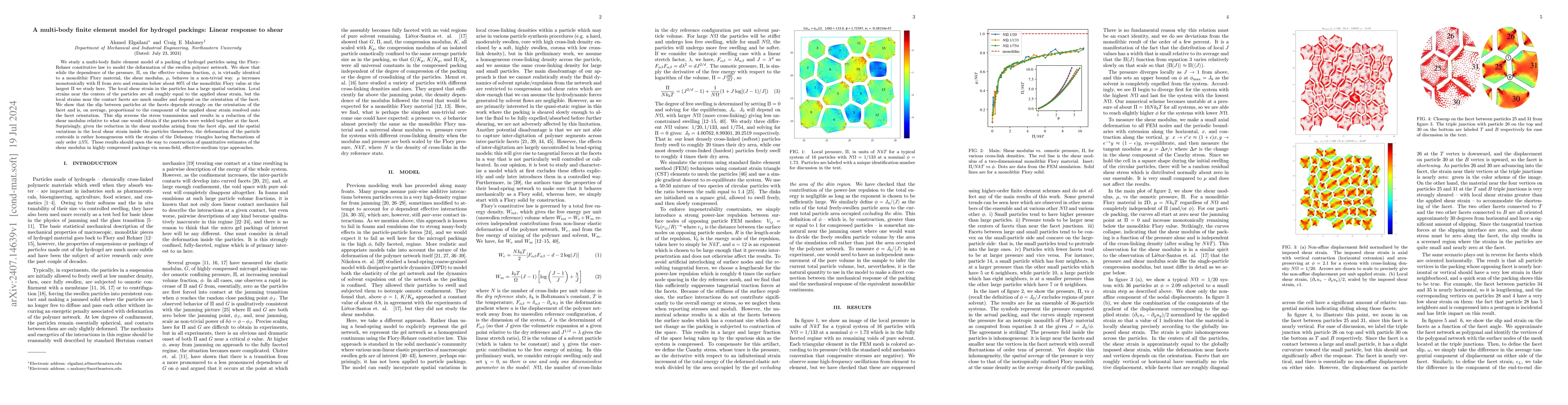 Thumbnail for A multi-body finite element model for hydrogel packings: Linear response
  to shear
