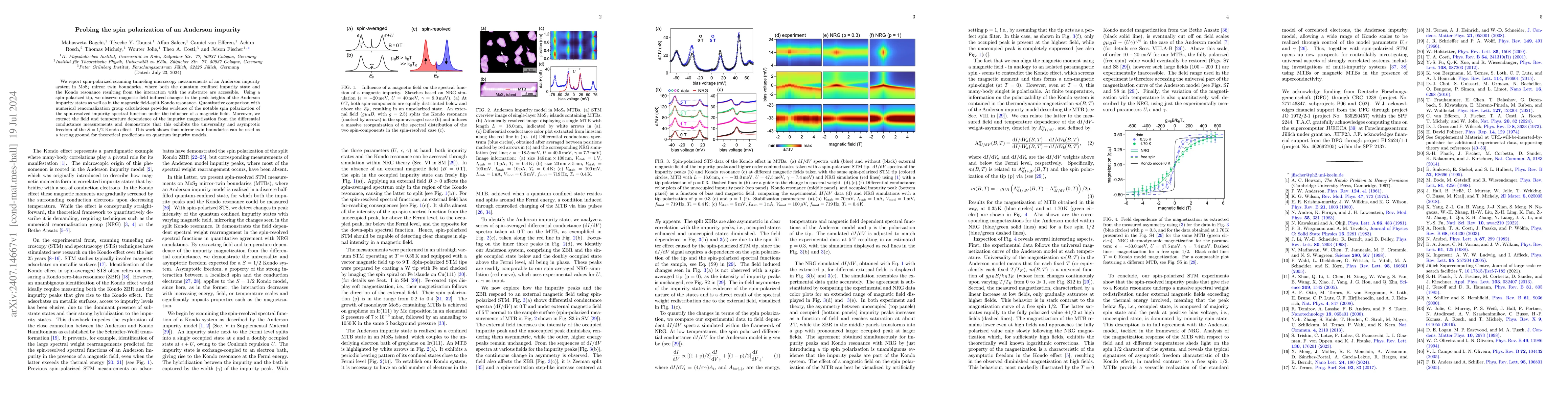 Thumbnail for Probing the spin polarization of an Anderson impurity
