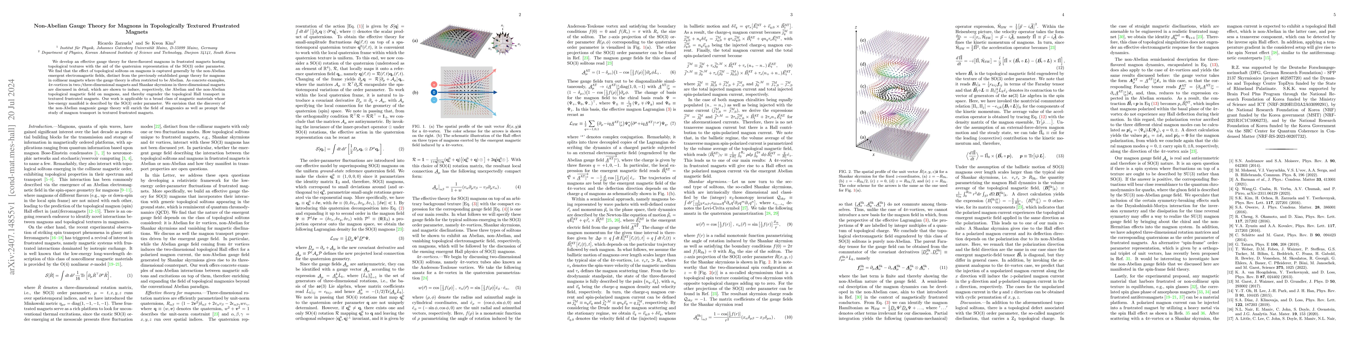 Thumbnail for Non-Abelian Gauge Theory for Magnons in Topologically Textured
  Frustrated Magnets