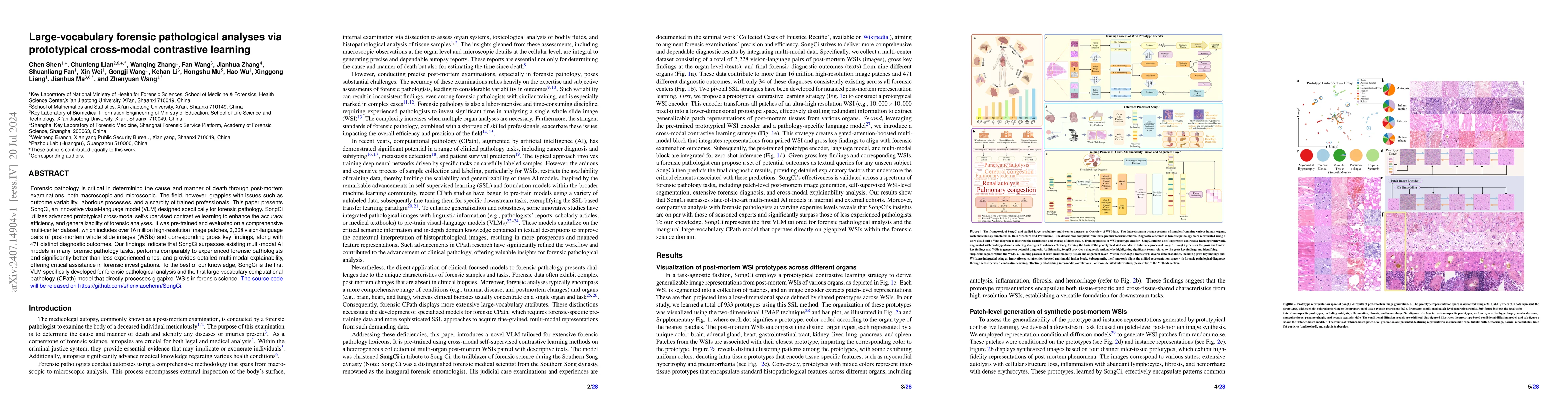 Thumbnail for Large-vocabulary forensic pathological analyses via prototypical
  cross-modal contrastive learning