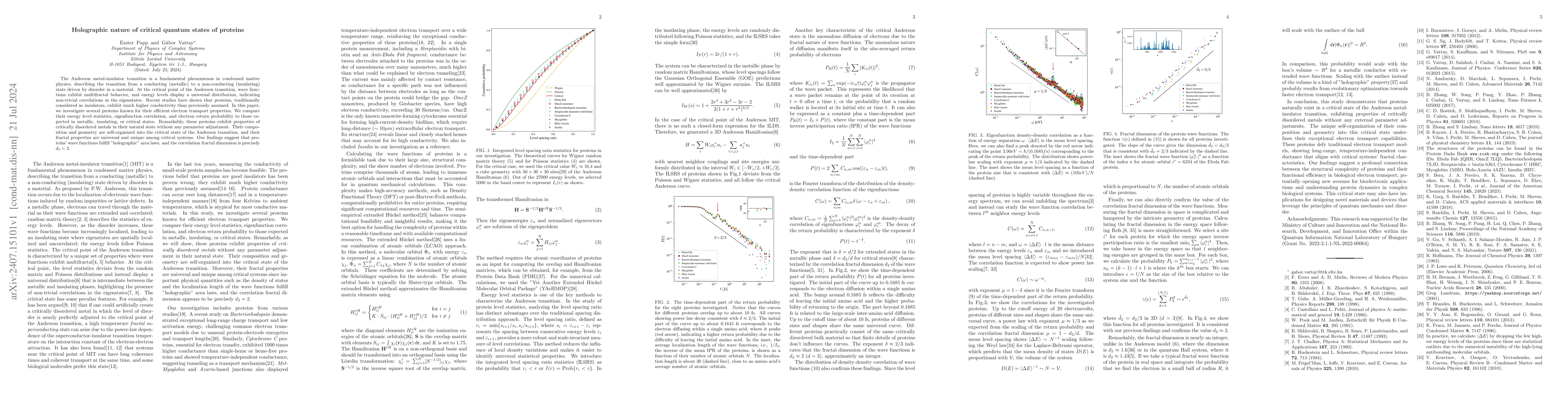 Thumbnail for Holographic nature of critical quantum states of proteins