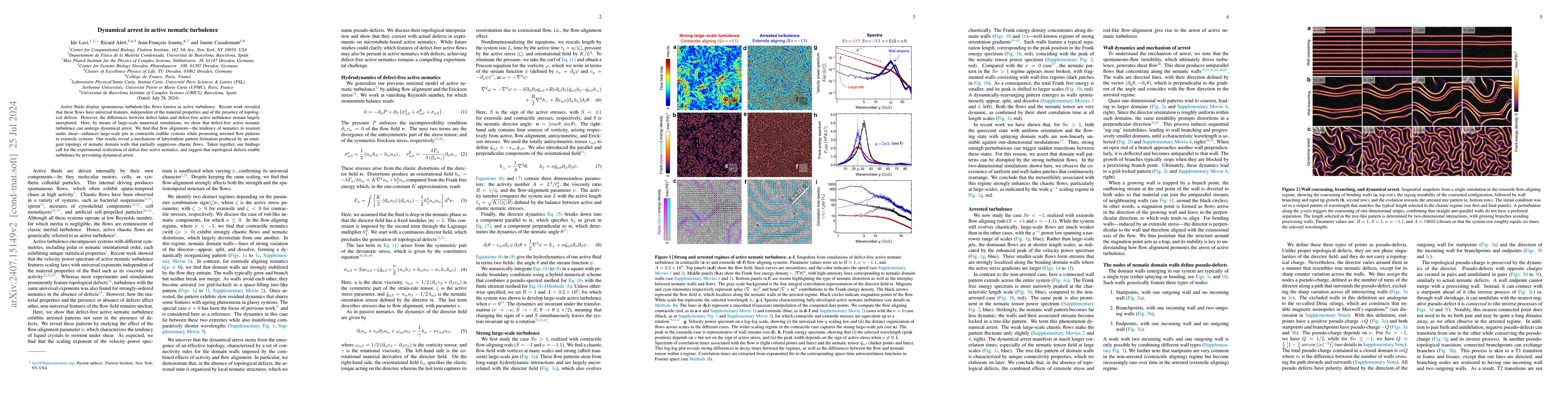 Thumbnail for Dynamical arrest in active nematic turbulence