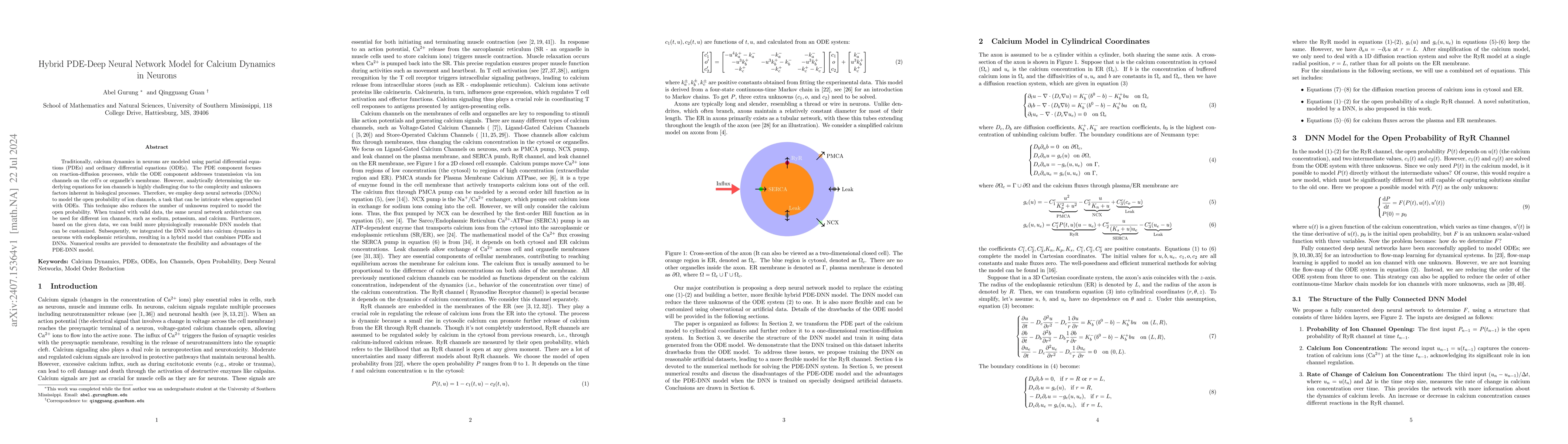 Thumbnail for Hybrid PDE-Deep Neural Network Model for Calcium Dynamics in Neurons