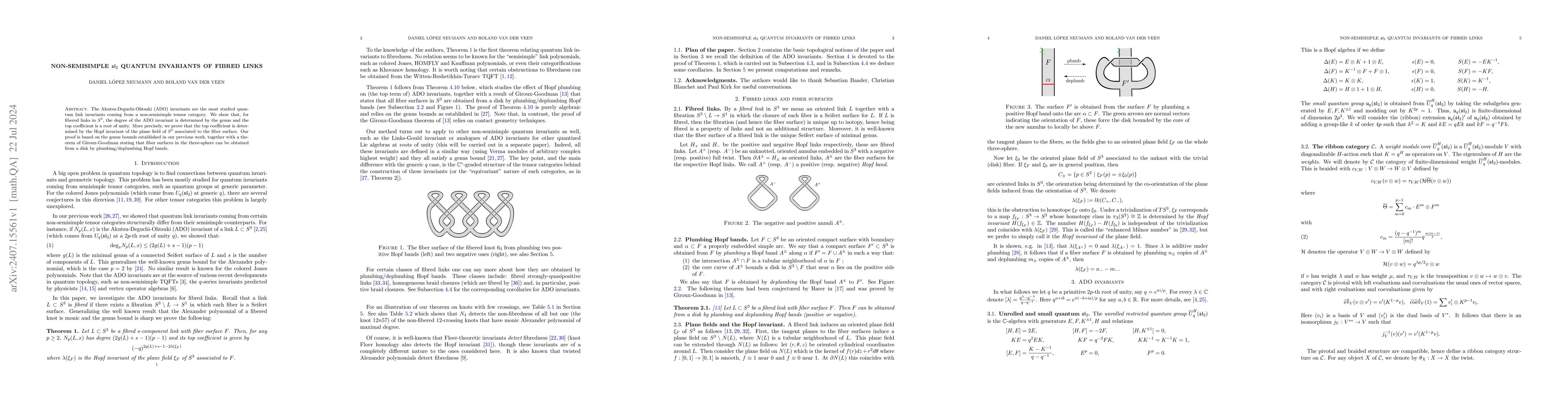 Thumbnail for Non-semisimple $\mathfrak{sl}_2$ quantum invariants of fibred links