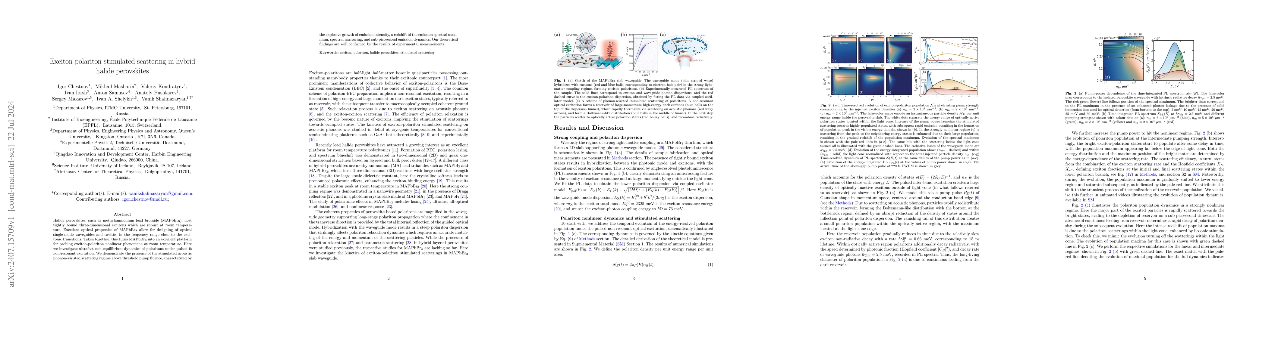 Thumbnail for Exciton-polariton stimulated scattering in hybrid halide perovskites