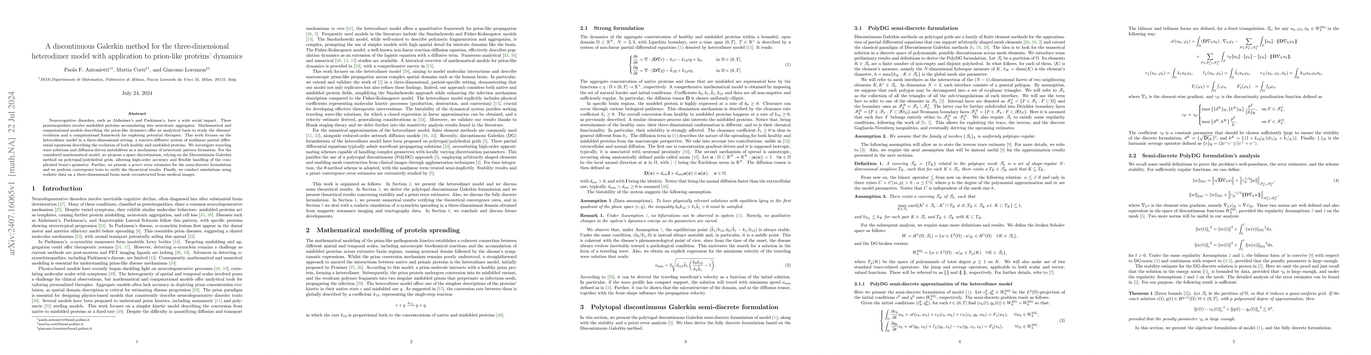 Thumbnail for A discontinuous Galerkin method for the three-dimensional heterodimer
  model with application to prion-like proteins' dynamics