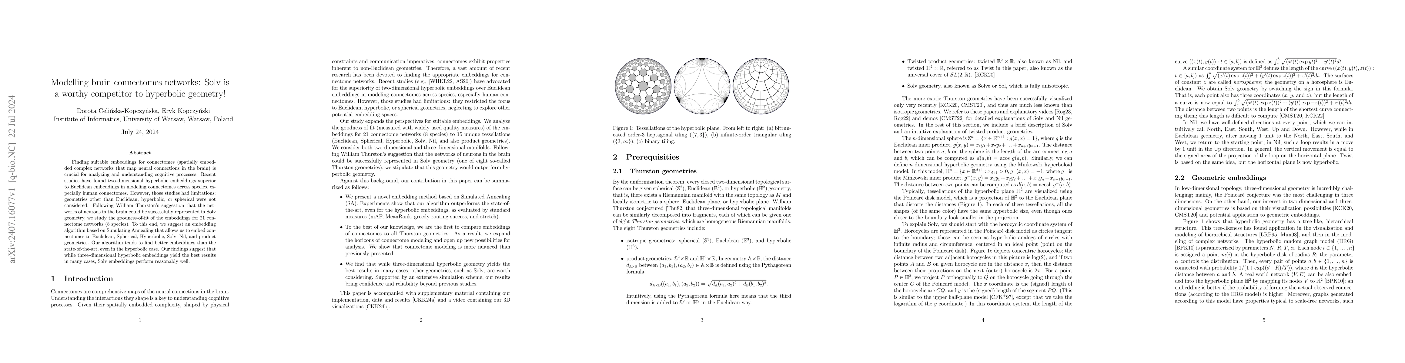 Thumbnail for Modelling brain connectomes networks: Solv is a worthy competitor to
  hyperbolic geometry!