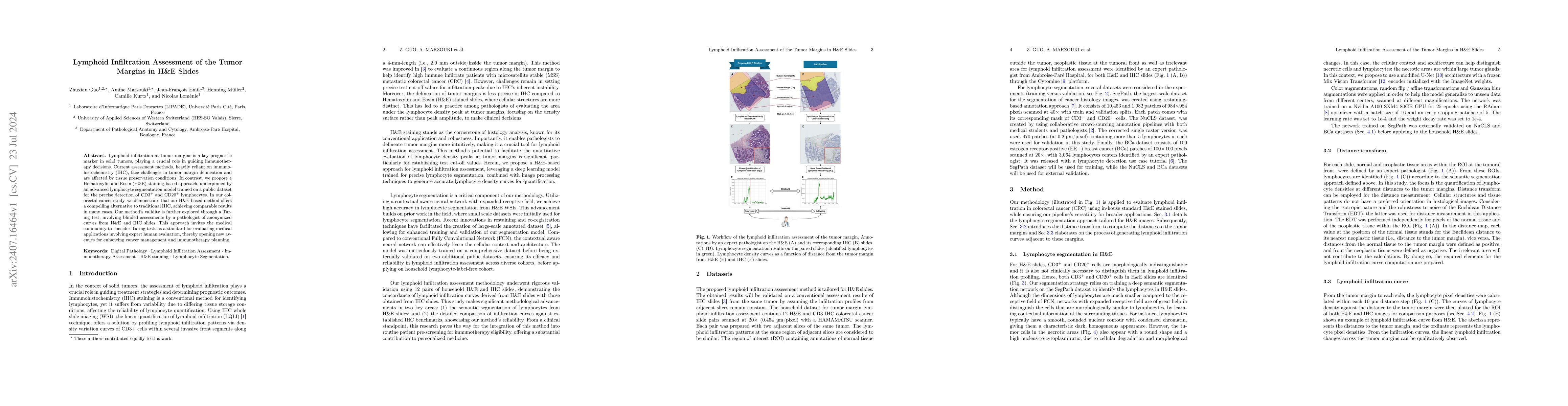 Thumbnail for Lymphoid Infiltration Assessment of the Tumor Margins in H&E Slides