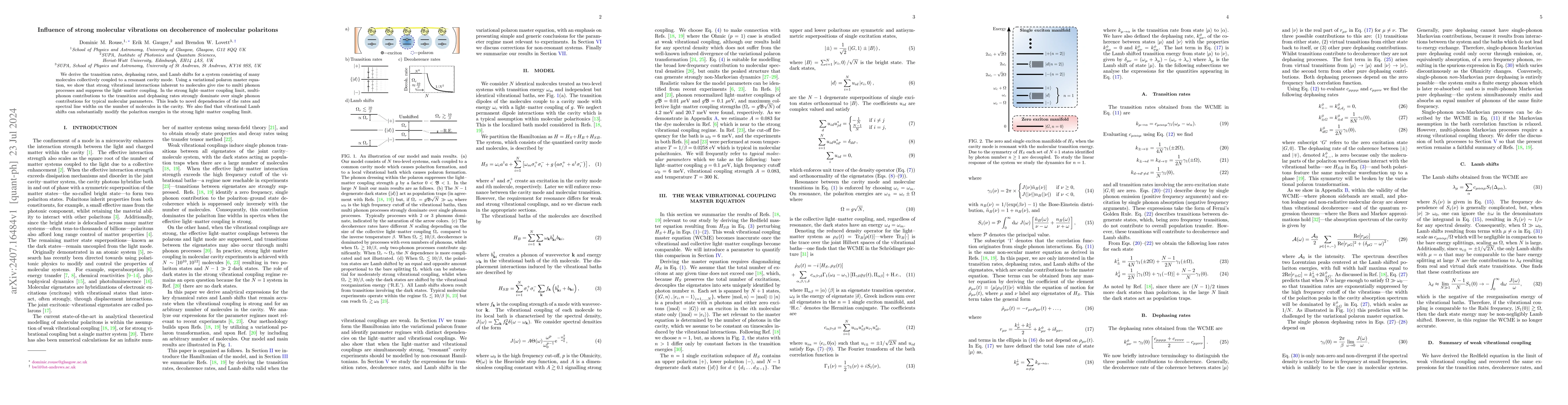 Thumbnail for Influence of strong molecular vibrations on decoherence of molecular
  polaritons