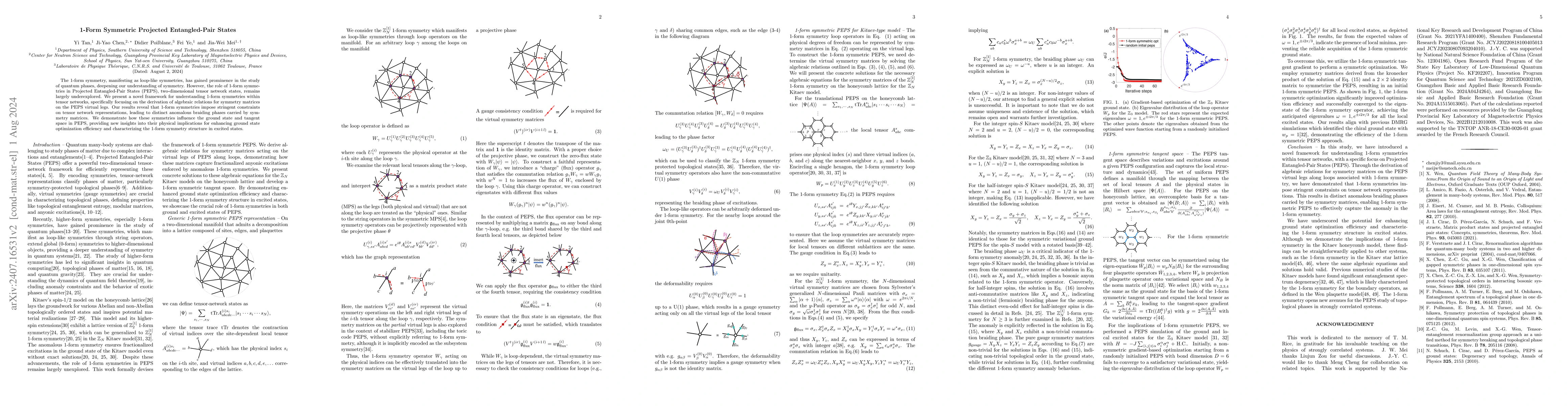 Thumbnail for 1-Form Symmetric Projected Entangled-Pair States