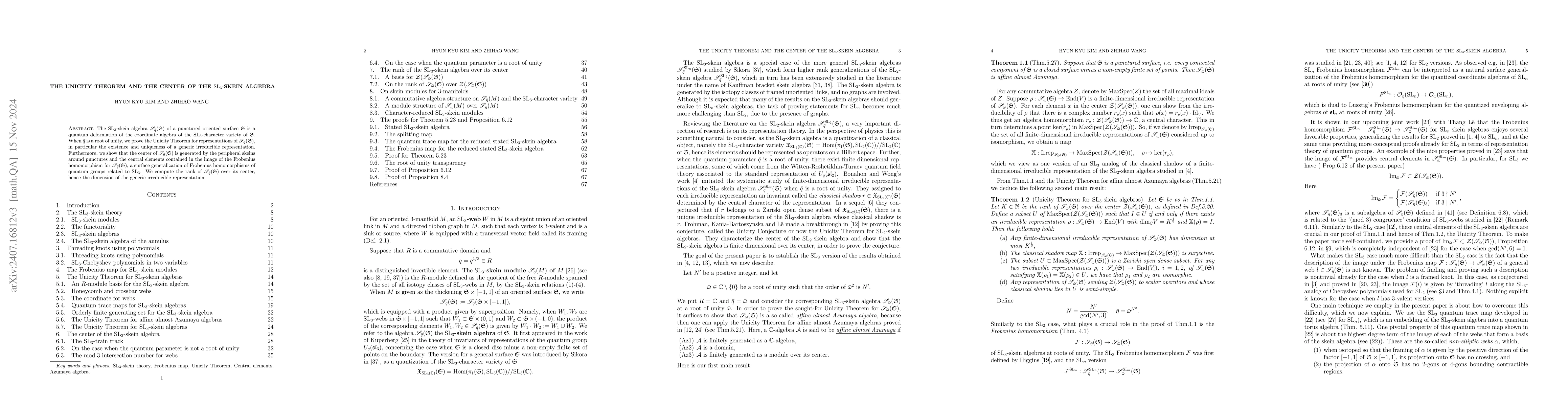 Thumbnail for The Unicity Theorem and the center of the ${\rm SL}_3$-skein algebra
