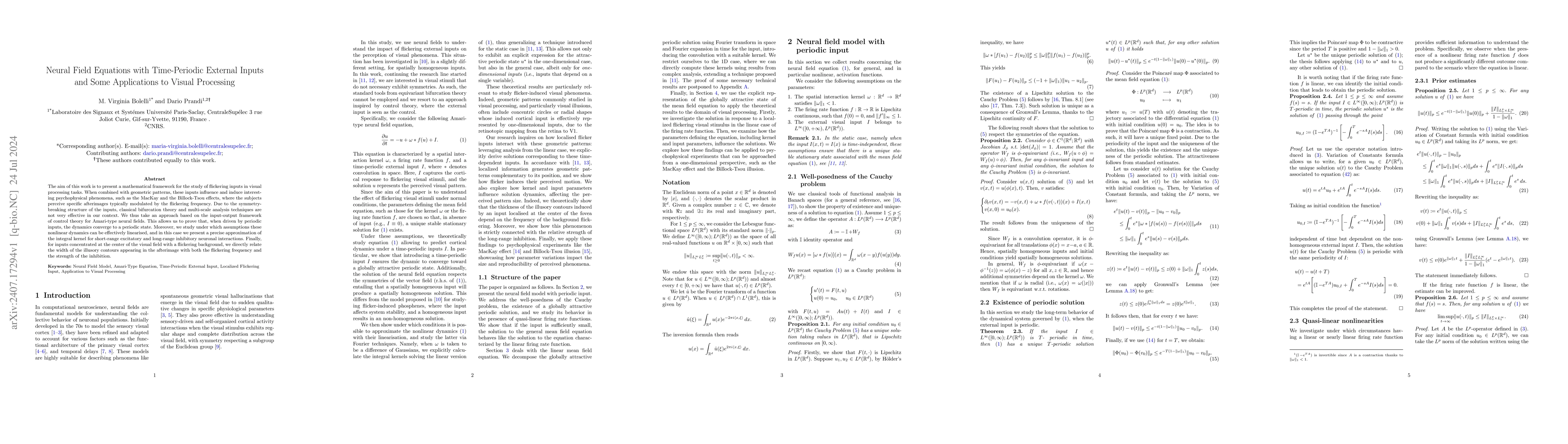 Thumbnail for Neural field equations with time-periodic external inputs and some
  applications to visual processing