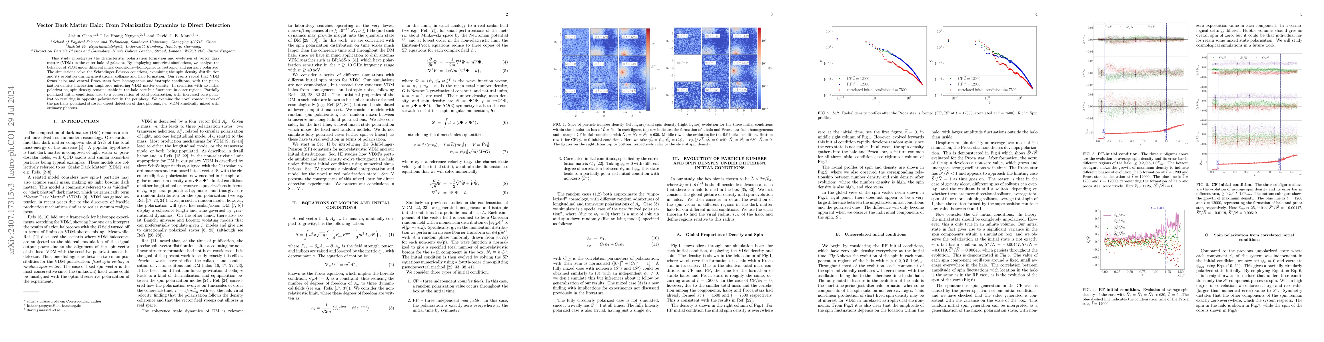 Thumbnail for Vector Dark Matter Halo: From Polarization Dynamics to Direct Detection