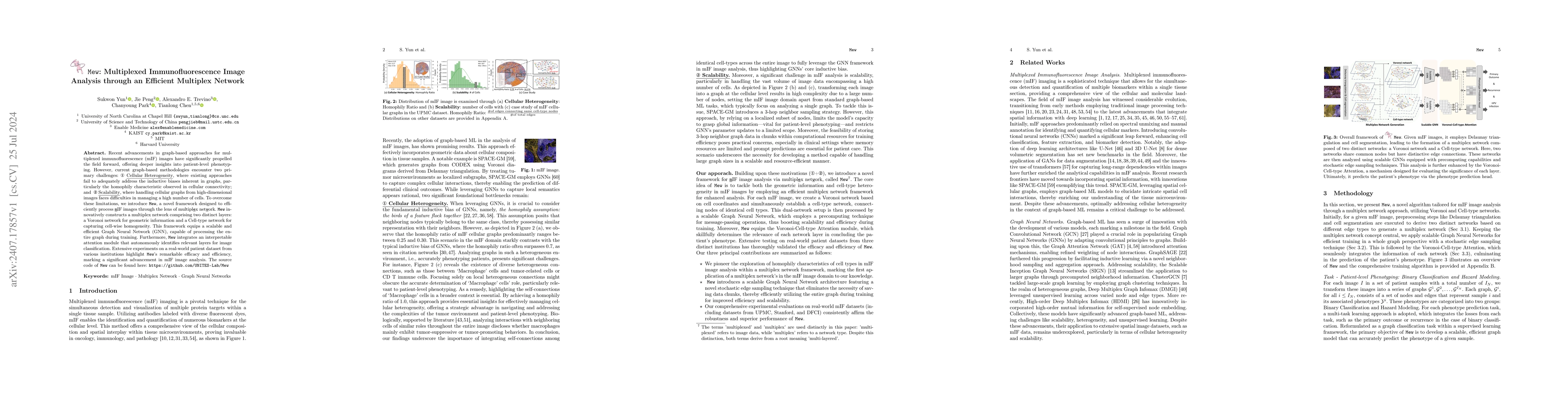 Thumbnail for Mew: Multiplexed Immunofluorescence Image Analysis through an Efficient
  Multiplex Network