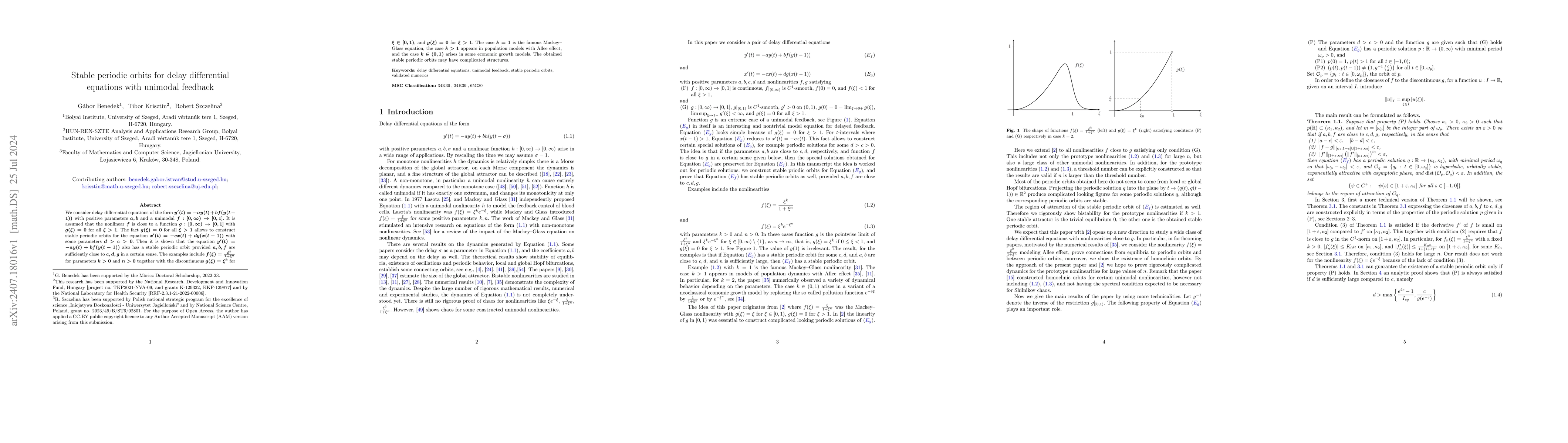 Thumbnail for Stable periodic orbits for delay differential equations with unimodal
  feedback