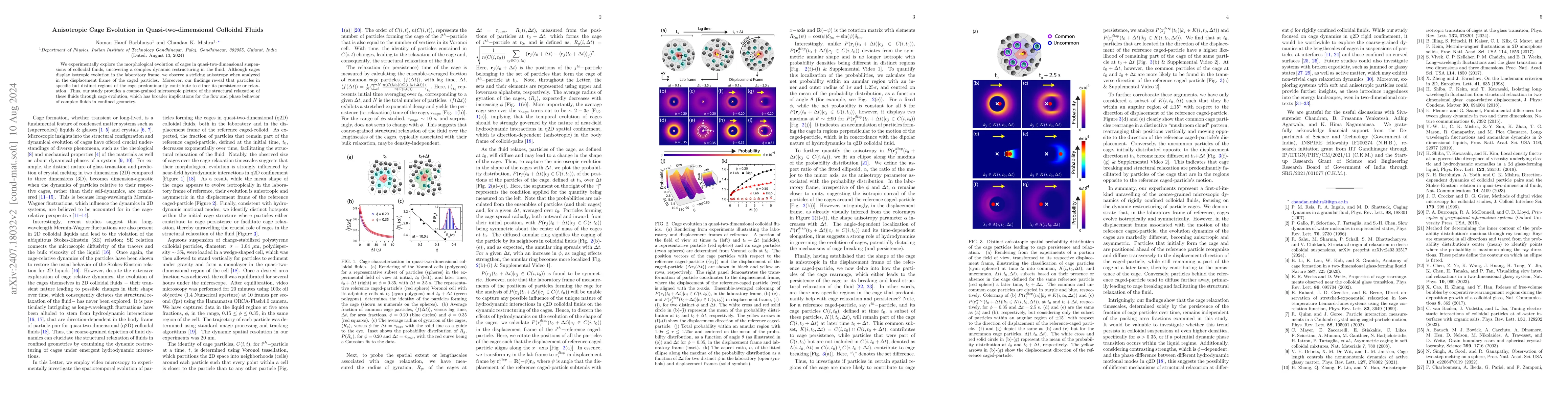 Thumbnail for Anisotropic Cage Evolution in Quasi-two-dimensional Colloidal Fluids