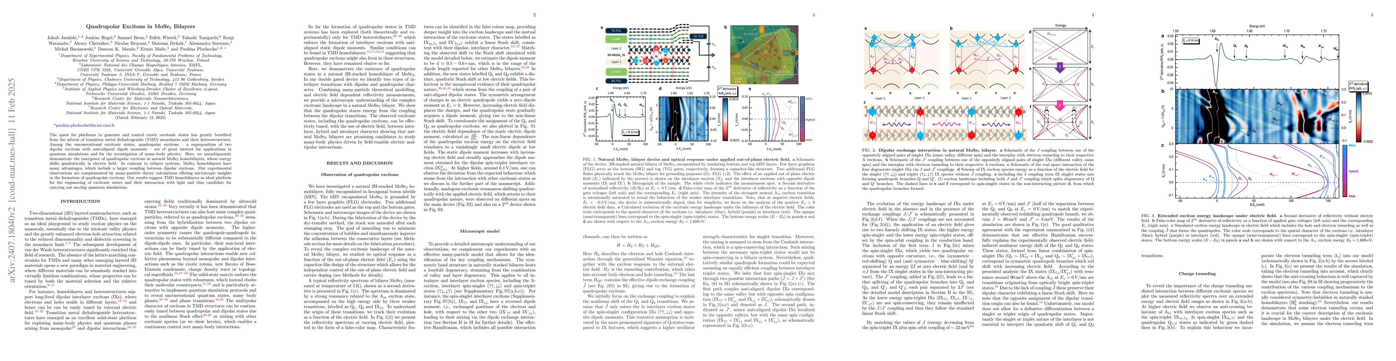 Thumbnail for Quadrupolar Excitons in MoSe2 Bilayers