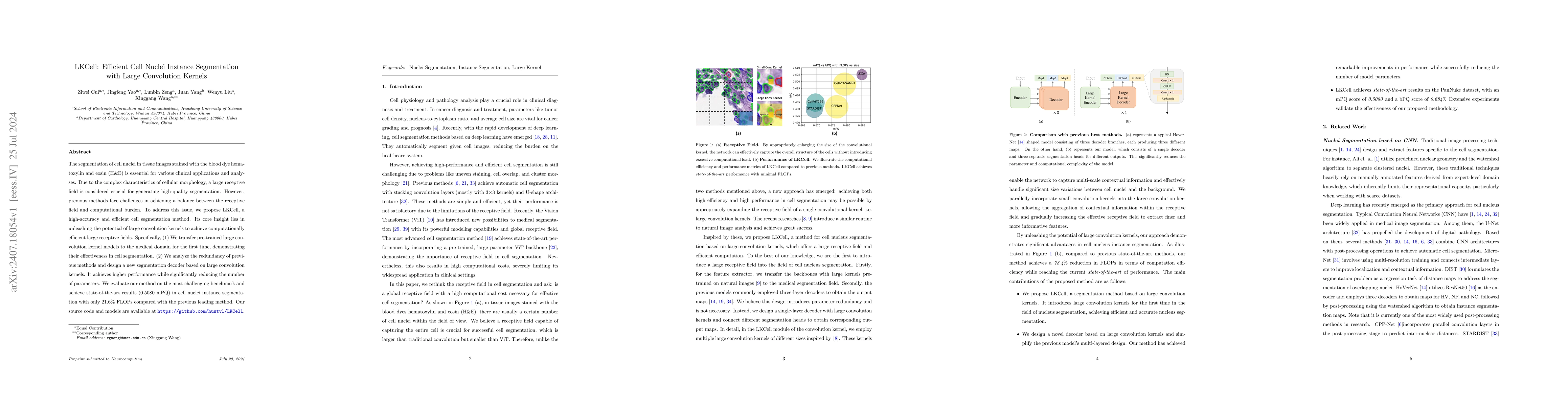 Thumbnail for LKCell: Efficient Cell Nuclei Instance Segmentation with Large
  Convolution Kernels