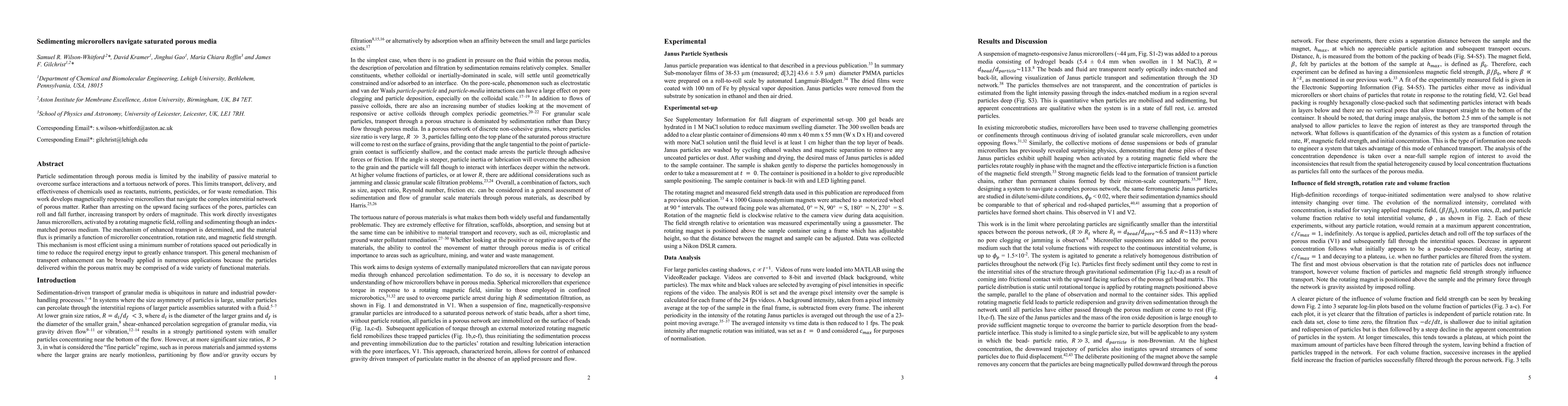 Thumbnail for Sedimenting microrollers navigate saturated porous media