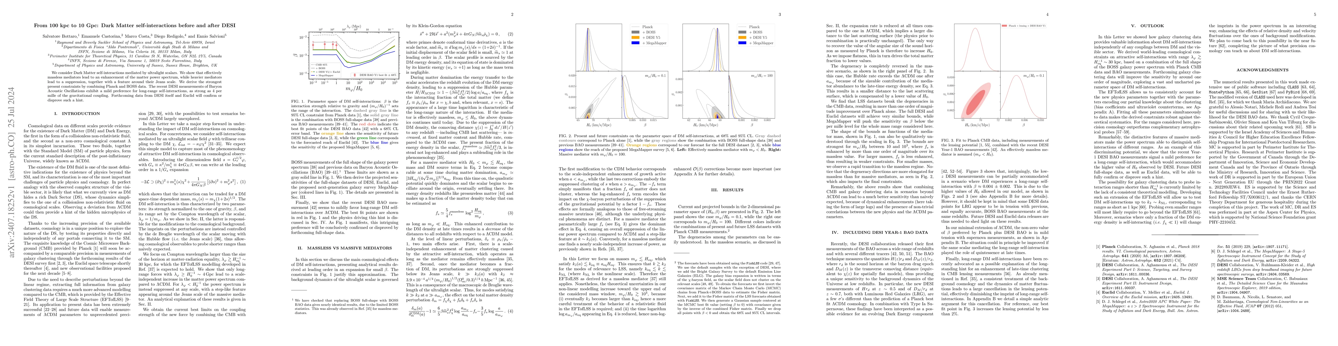 Thumbnail for From 100 kpc to 10 Gpc: Dark Matter self-interactions before and after
  DESI