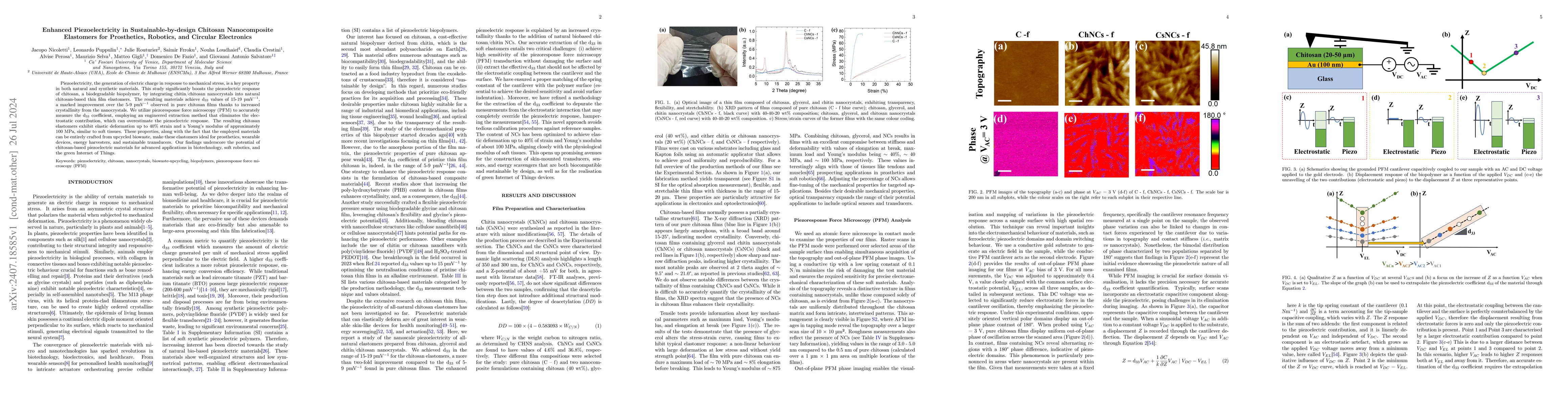 Thumbnail for Enhanced Piezoelectricity in Sustainable-by-design Chitosan
  Nanocomposite Elastomers for Prosthetics, Robotics, and Circular Electronics