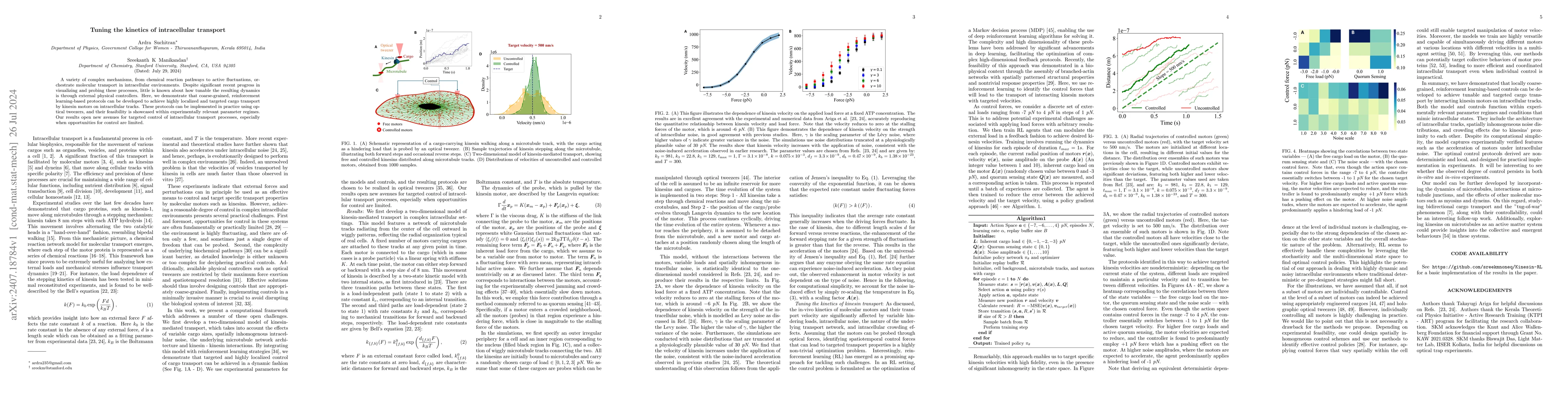 Thumbnail for Tuning the kinetics of intracellular transport