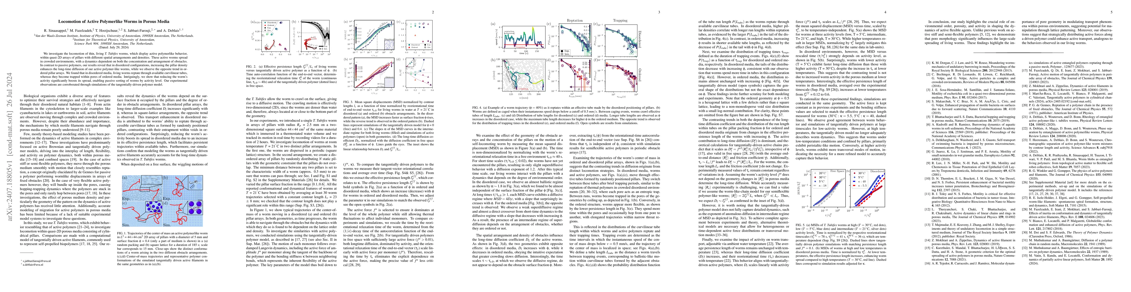 Thumbnail for Locomotion of Active Polymerlike Worms in Porous Media